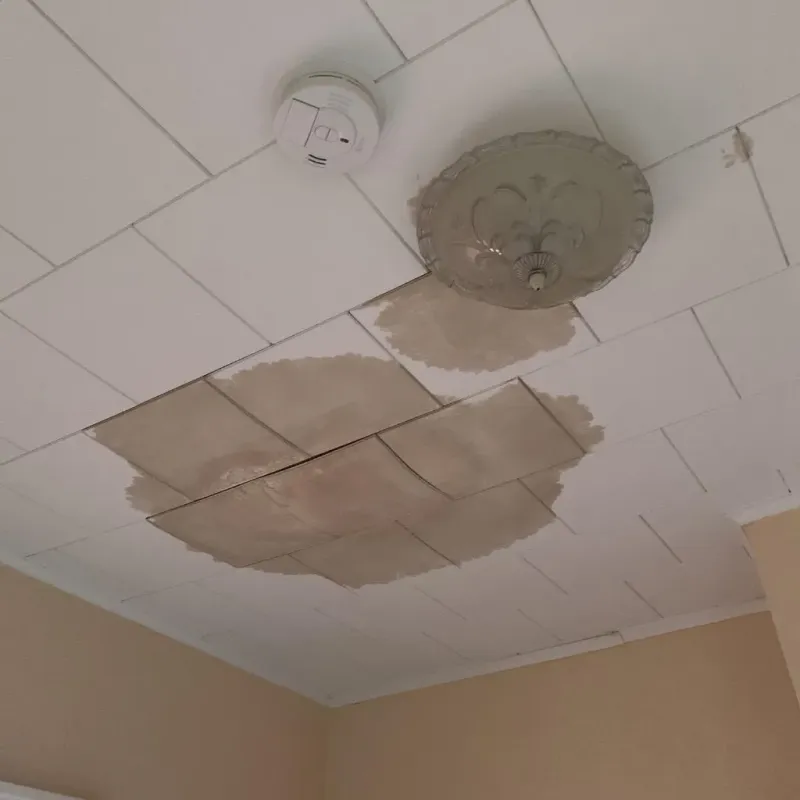 Ceiling Water Damage Repair in Allamakee County, IA