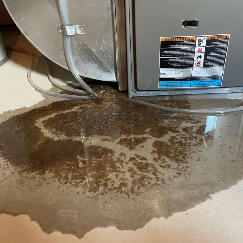 Pipe Burst and Leak Restoration in Allamakee County, IA