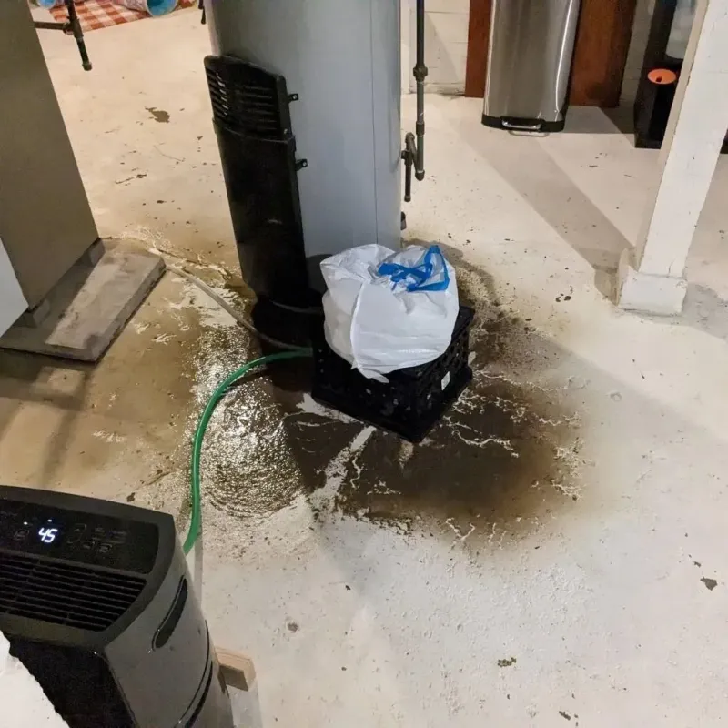 Sewage Backup Cleanup Service in Allamakee County, IA
